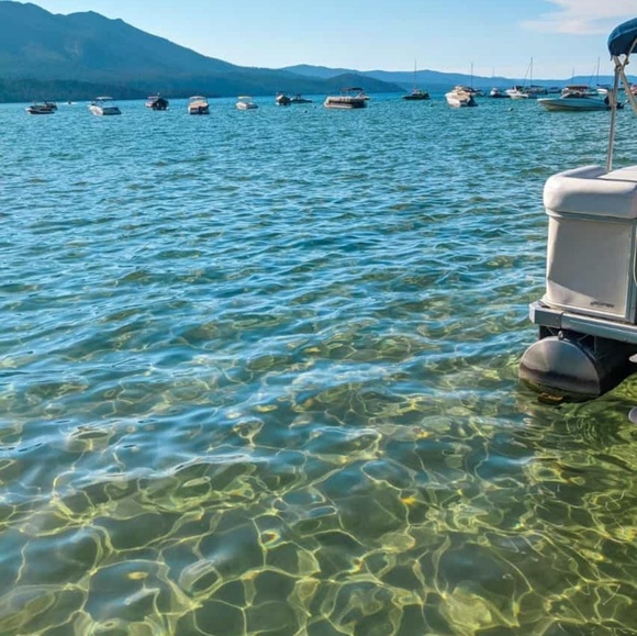 Meet your Posher, Lois - Picture 1 of 1